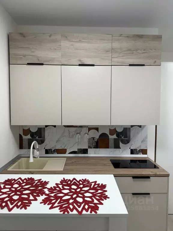 Студия Санкт-Петербург пос. Шушары, ул. Чудовская, 14к1 (22.6 м) - Фото 2