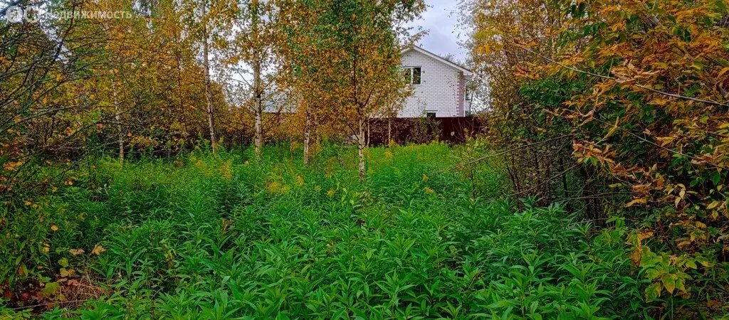 Участок в Бор, СНТ Садовник (5.3 м) - Фото 1