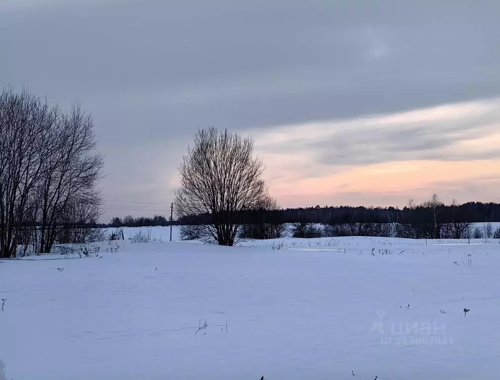 Участок в Московская область, Ступино городской округ, д. Ивантеево  ... - Фото 0