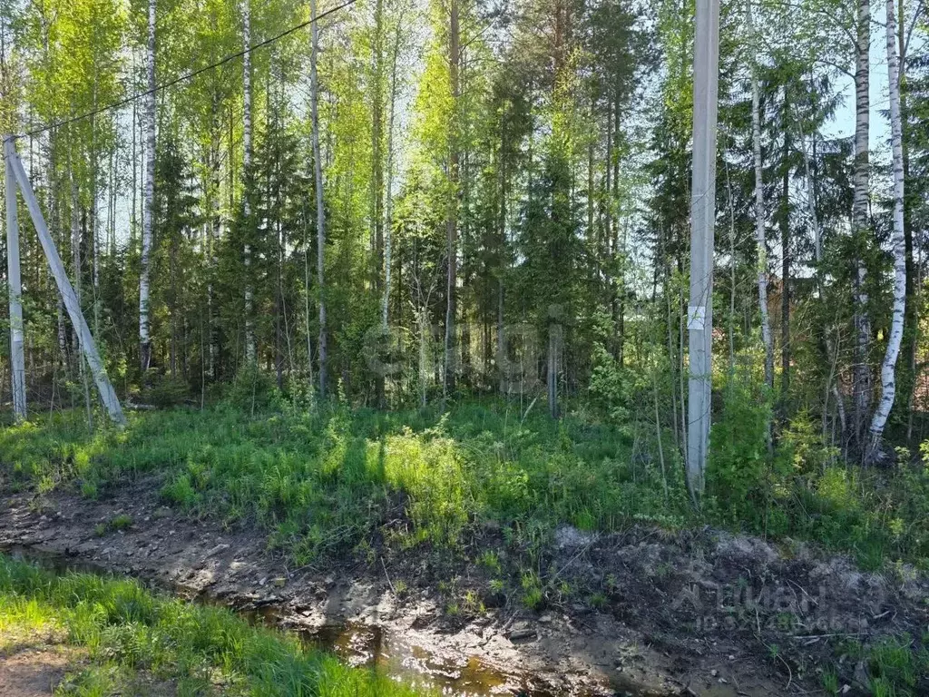 Участок в Коми, Сыктывкар Емваль мкр,  (10.51 сот.) - Фото 1