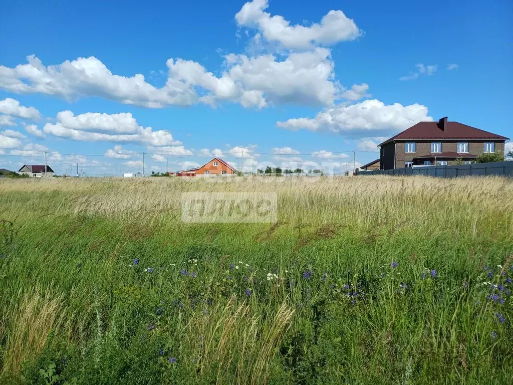 Участок в Курская область, Курский район, Новопоселеновский сельсовет, ... - Фото 1