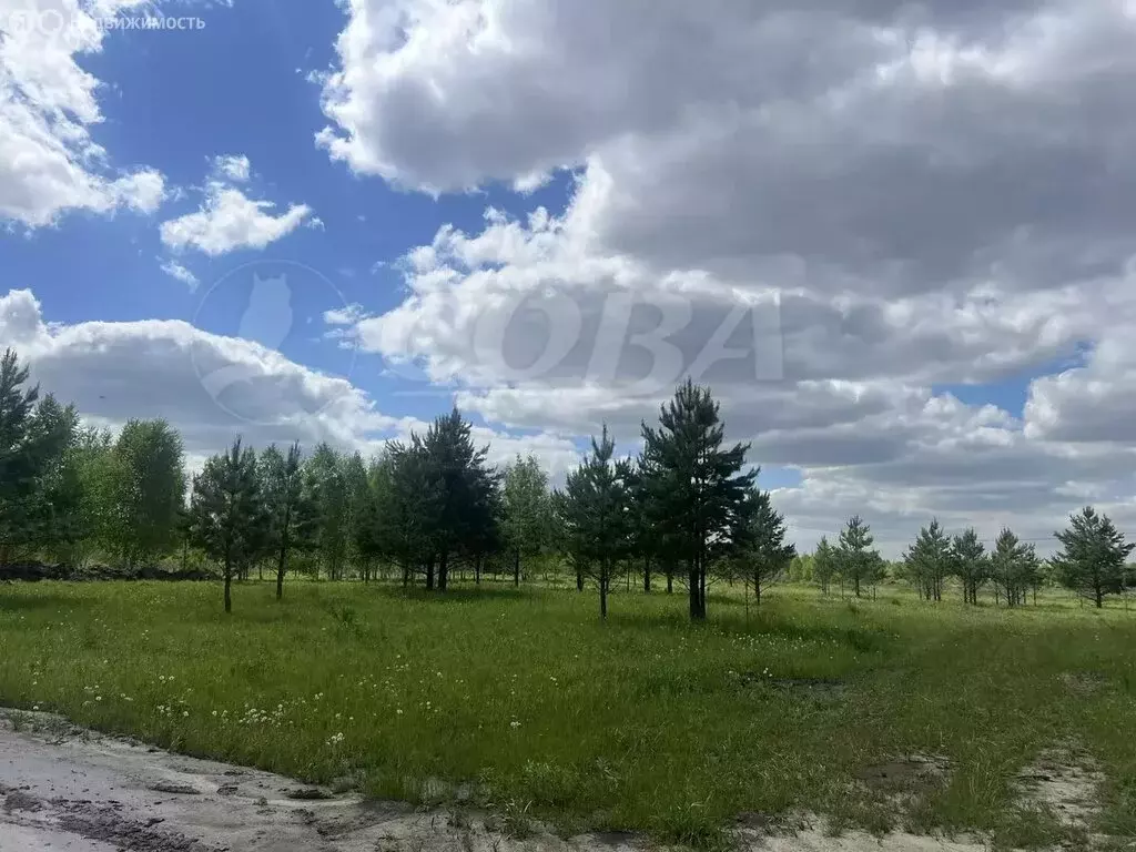 Участок в Тюменский район, деревня Криводанова (9.7 м) - Фото 1