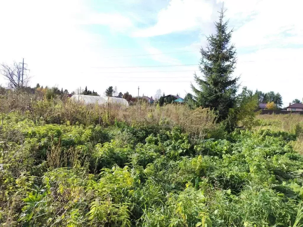 Участок в Кемеровский муниципальный округ, деревня Пугачи (15 м) - Фото 2