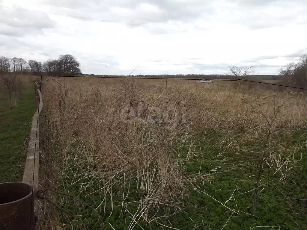 Участок в Псковский район, Писковичская волость, деревня Муровицы (15 ... - Фото 2