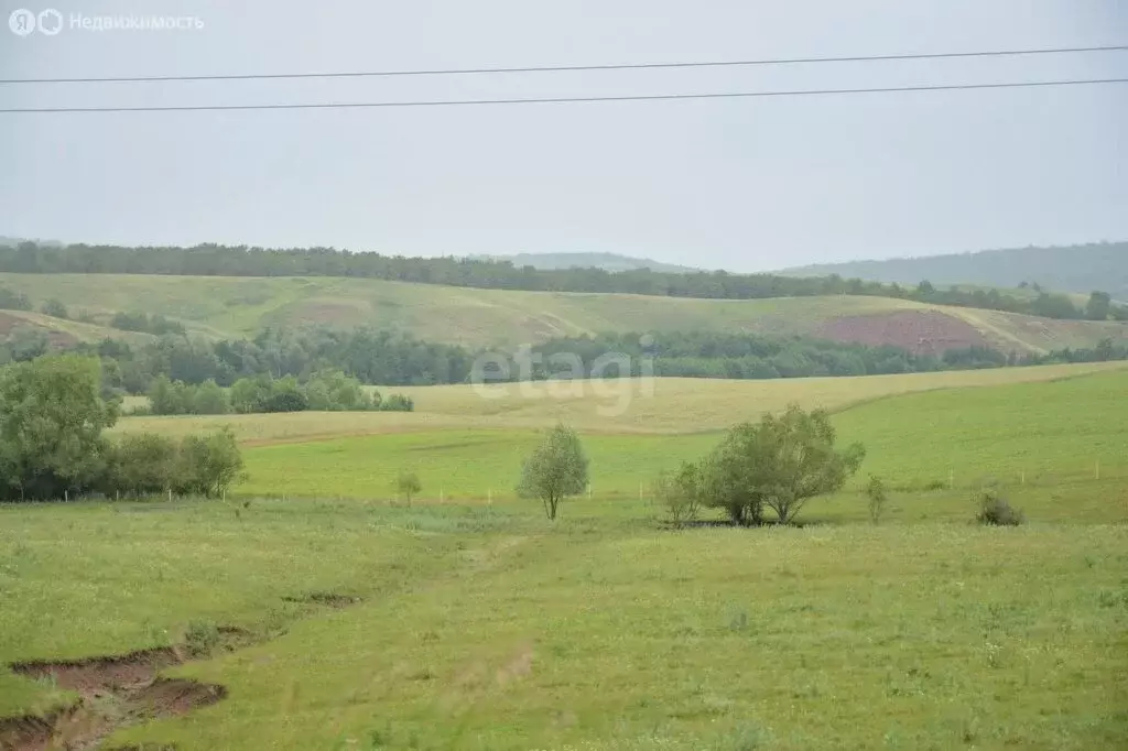 Участок в Стерлитамакский район, Подлесненский сельсовет, село Большое ... - Фото 1