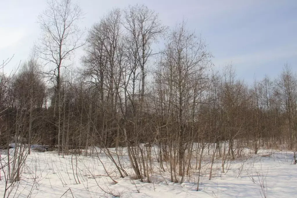 Участок в Московская область, Шаховская муниципальный округ, д. ... - Фото 1