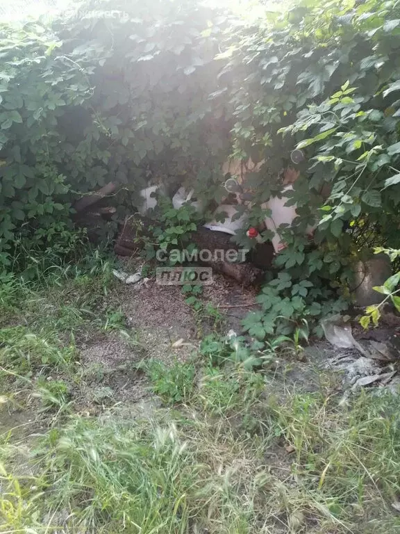 Дом в Краснодар, улица Стасова, 25 (30 м) - Фото 1