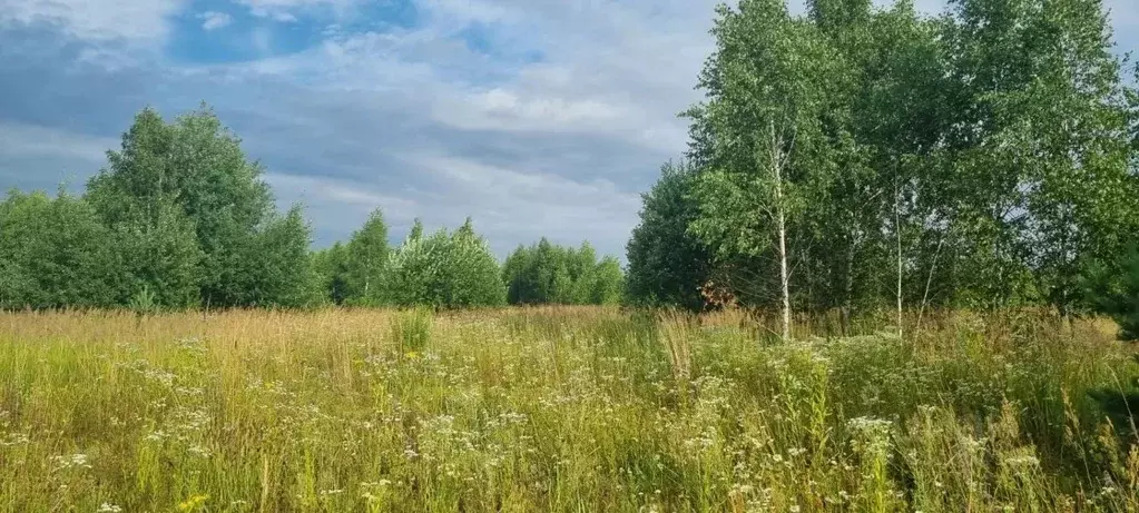 Участок в Московская область, Павлово-Посадский городской округ, д. ... - Фото 1