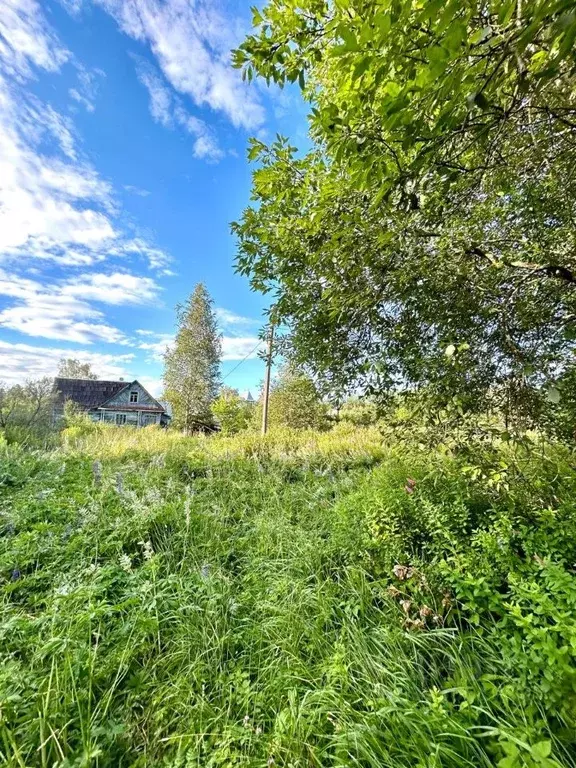 Участок в Ленинградская область, Гатчинский район, Вырица городской ... - Фото 1