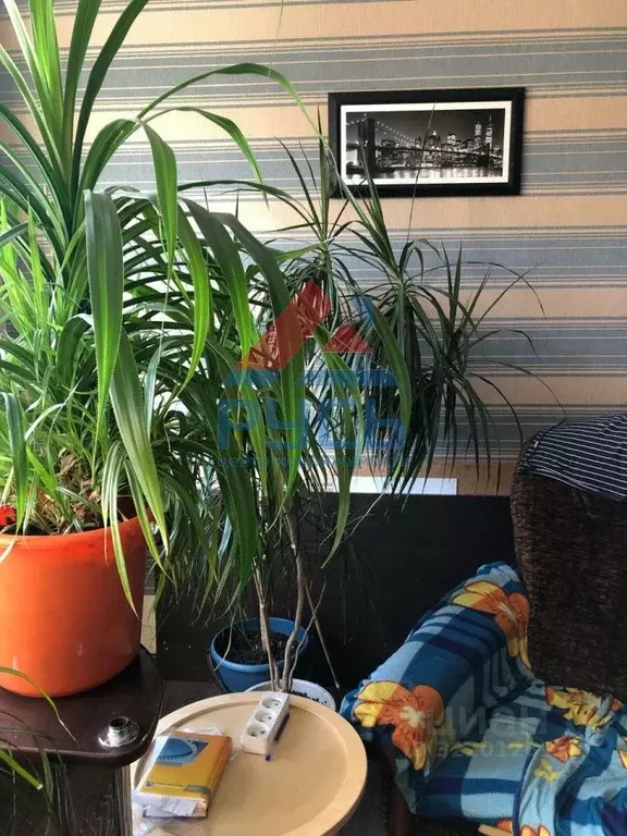 1-к кв. Челябинская область, Коркино ул. Ленина, 19 (29.5 м) - Фото 1