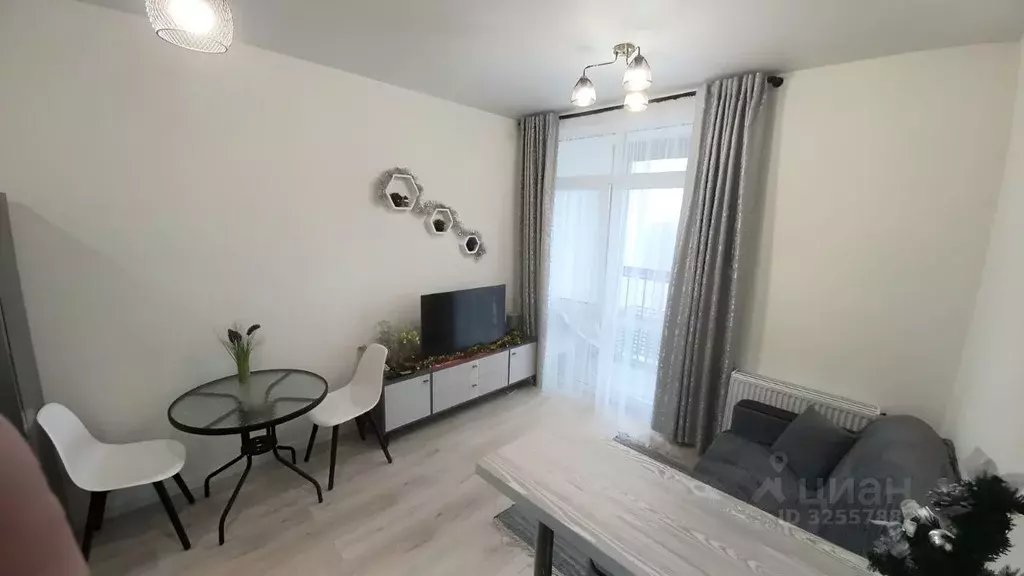 Студия Москва № 160 кв-л, 1Вк1 (25.0 м) - Фото 2