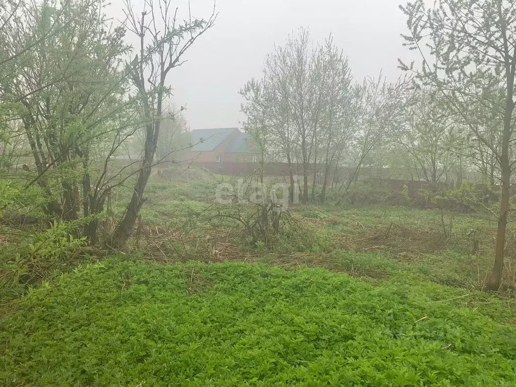 Участок в Сахалинская область, Долинск ул. Кирова (18.6 сот.) - Фото 1