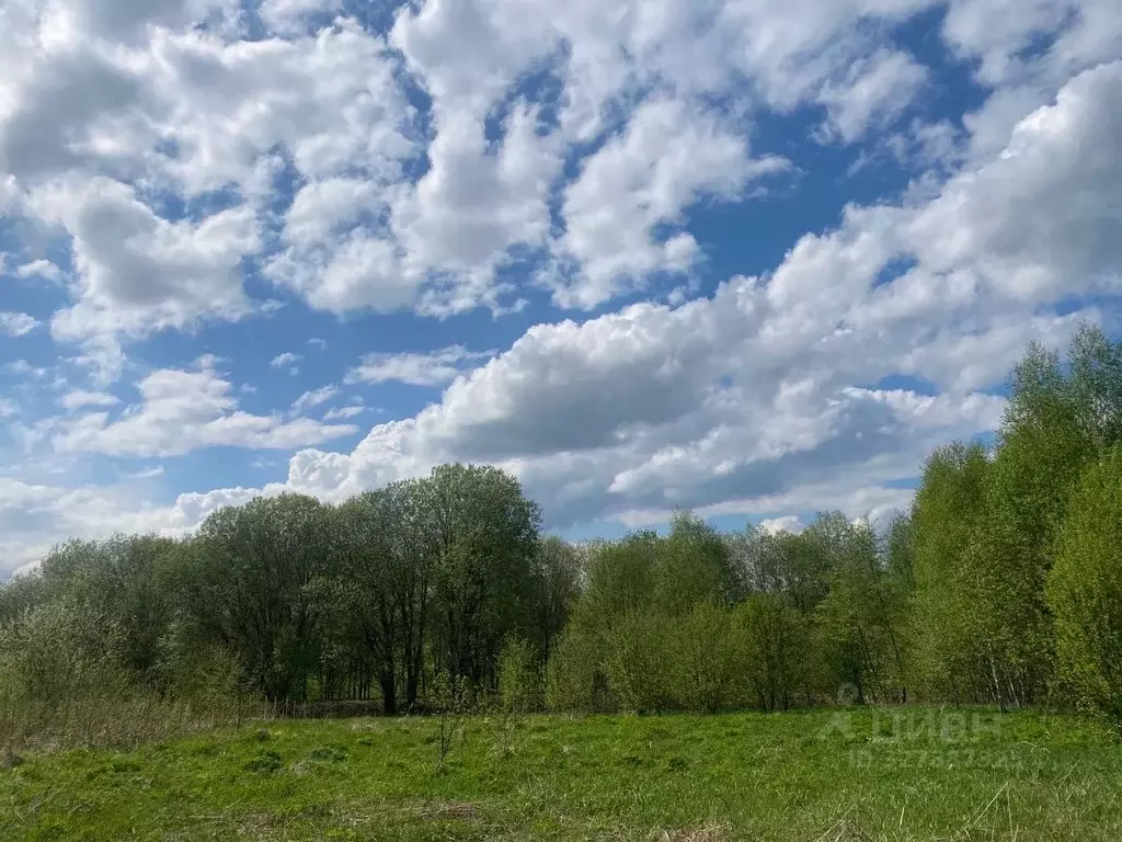 Участок в Псковская область, Печорский муниципальный округ, д. ... - Фото 1