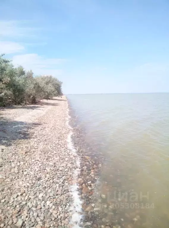 Комната Краснодарский край, Ейский район, Александровское с/пос, пос. ... - Фото 2