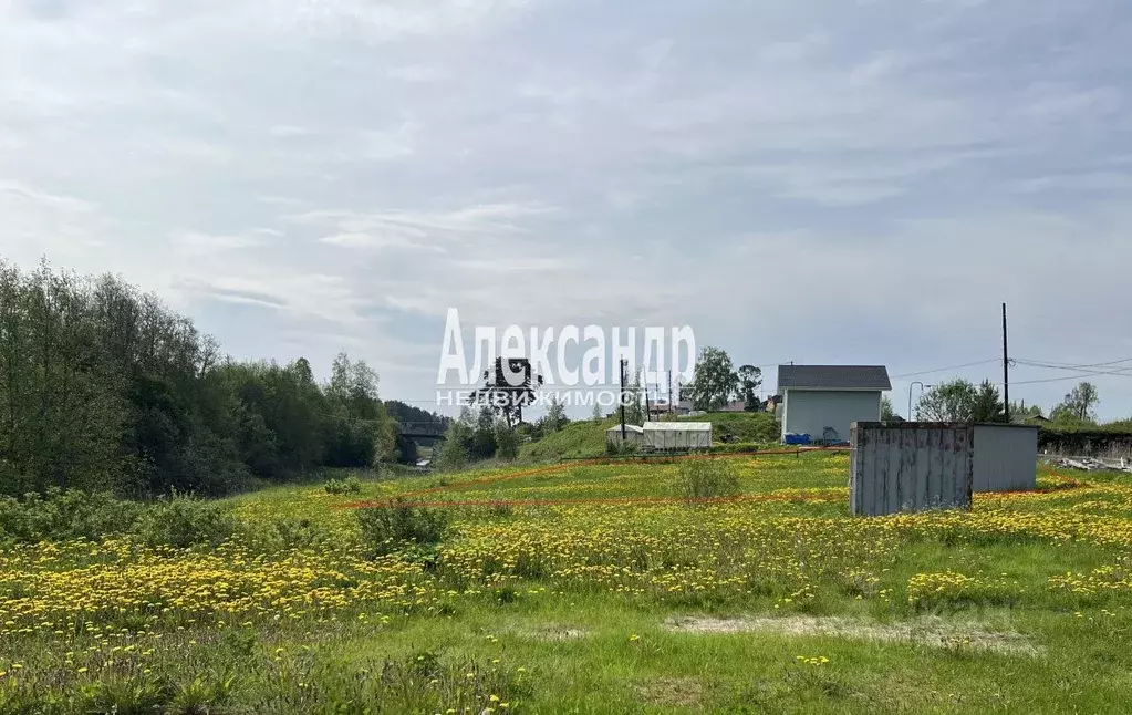 Участок в Карелия, Лахденпохский муниципальный округ, пос. Терву  ... - Фото 2