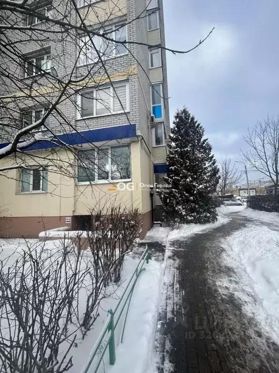 Помещение свободного назначения в Брянская область, Брянск ул. ... - Фото 1