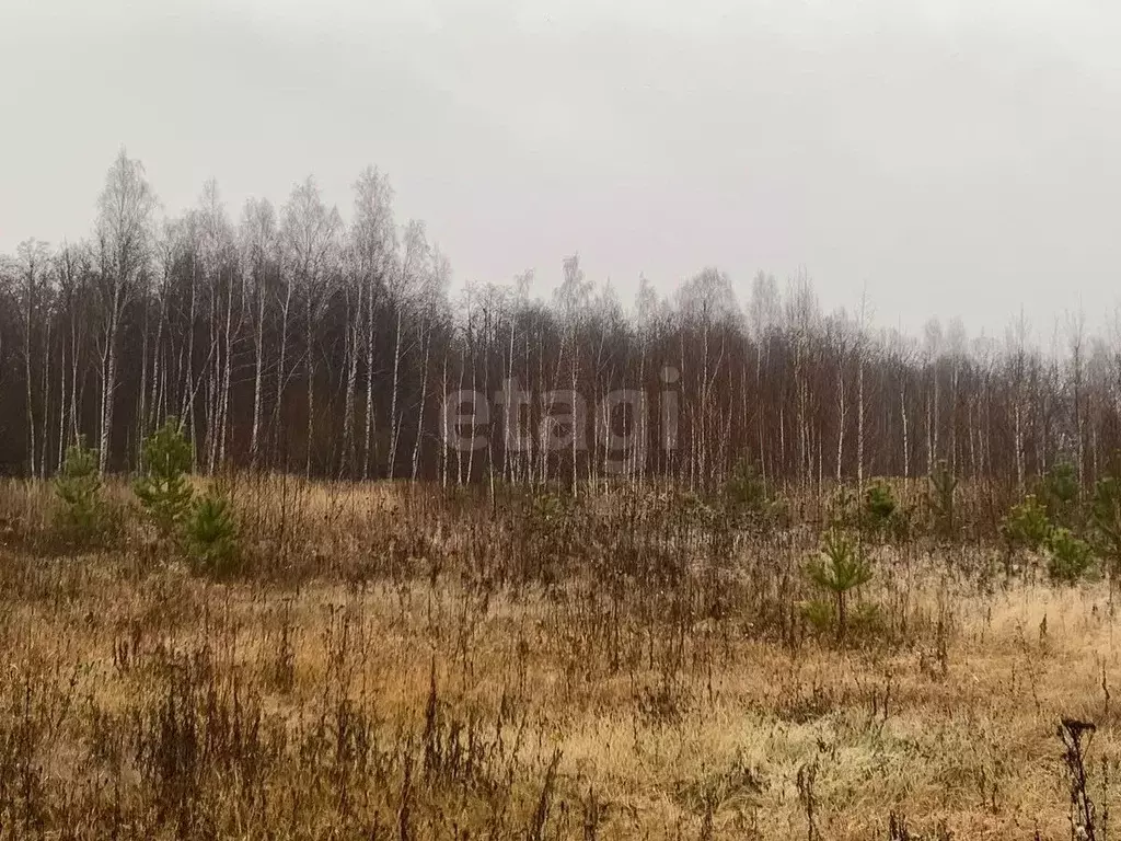 Участок в Татарстан, Пестречинский район, Шигалеевское с/пос, с. Новое ... - Фото 1