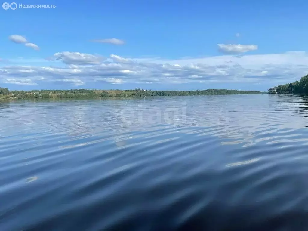 Участок в Вологодская область, Шекснинский муниципальный округ, ... - Фото 0