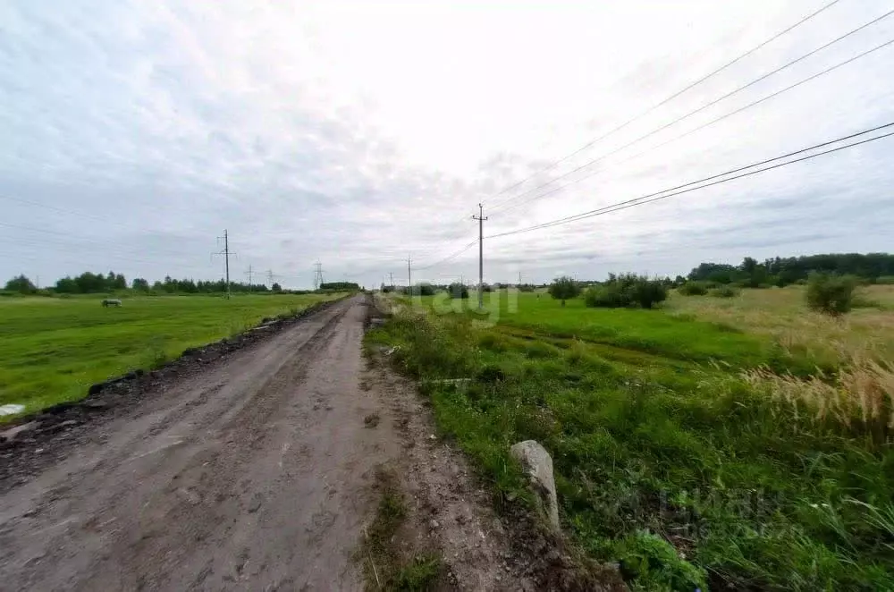 участок в курганская область, шадринск ул. приходько (10.0 сот.) - Фото 1