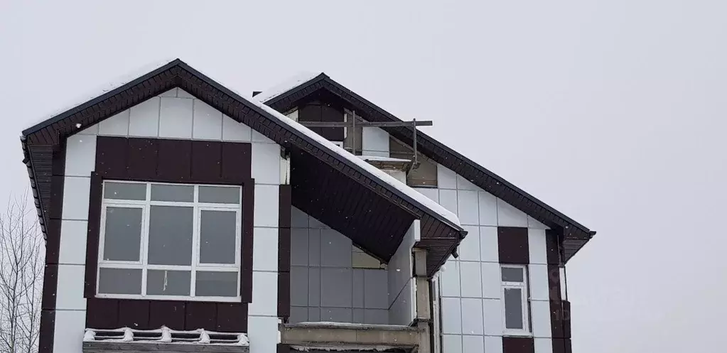 Дом в Нижегородская область, Богородский муниципальный округ, д. ... - Фото 1