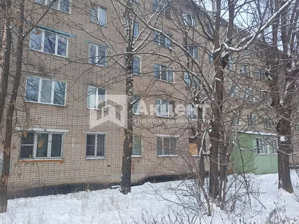 1-к кв. Ивановская область, Иваново ТЭЦ-3 мкр, 4 (27.1 м) - Фото 1