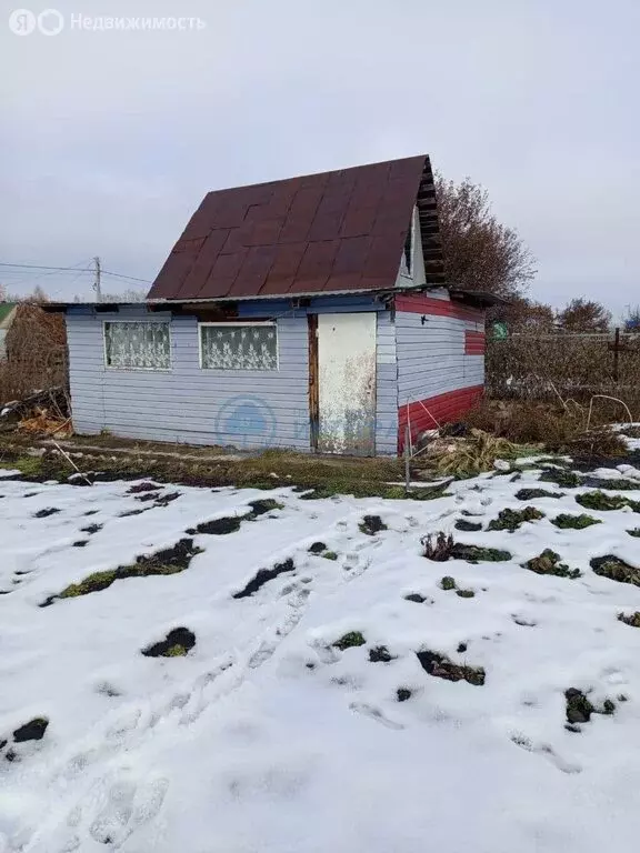 Участок в Новосибирская область, Бердск (6 м) - Фото 1