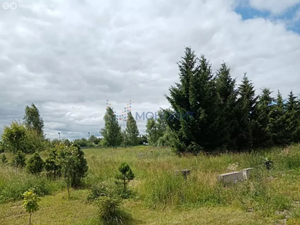 Участок в Нижегородская область, Богородский муниципальный округ, ... - Фото 0