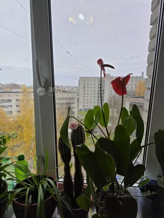 Комната Чувашия, Чебоксары ул. Тимофея Кривова, 19 (13.0 м) - Фото 1