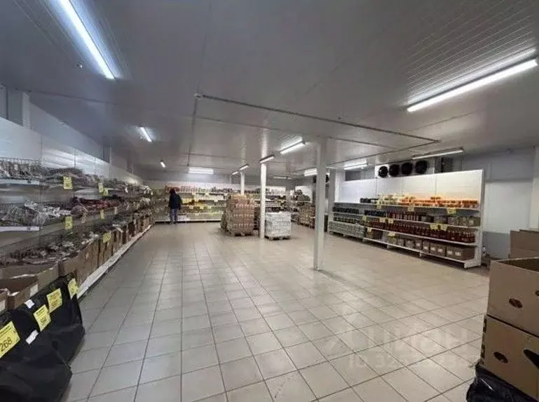 Склад в Санкт-Петербург Шереметьевская ул., 15 (1000 м) - Фото 1