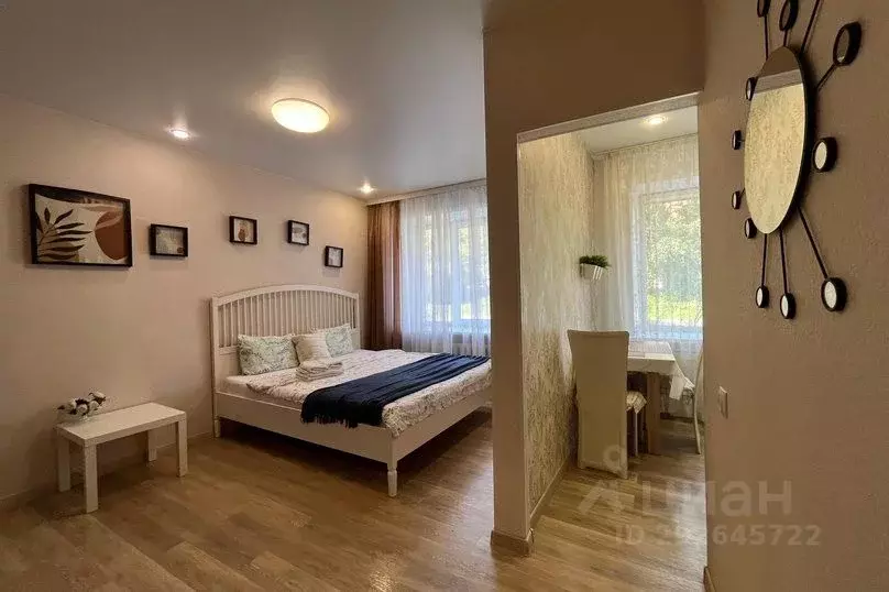 1-к кв. Кемеровская область, Кемерово ул. Демьяна Бедного, 3 (29.0 м) - Фото 1