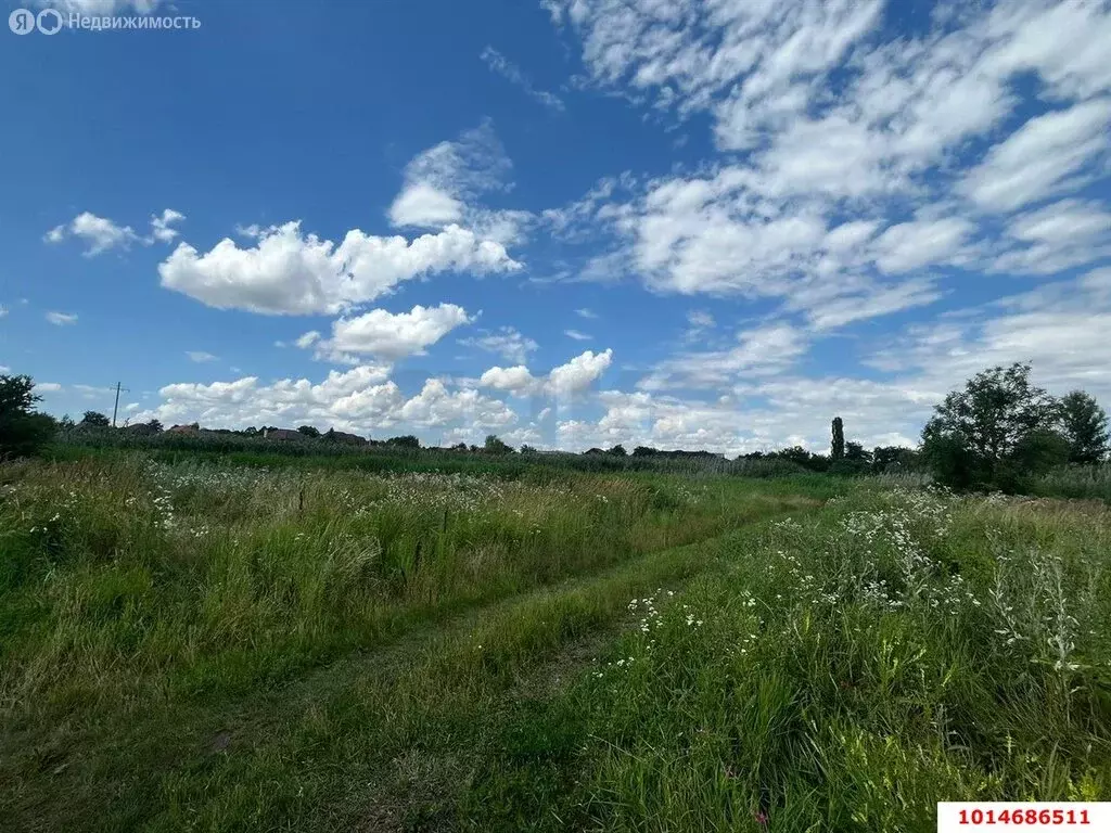 Участок в Красносельское, Школьная улица, 1/8 (16.93 м) - Фото 0