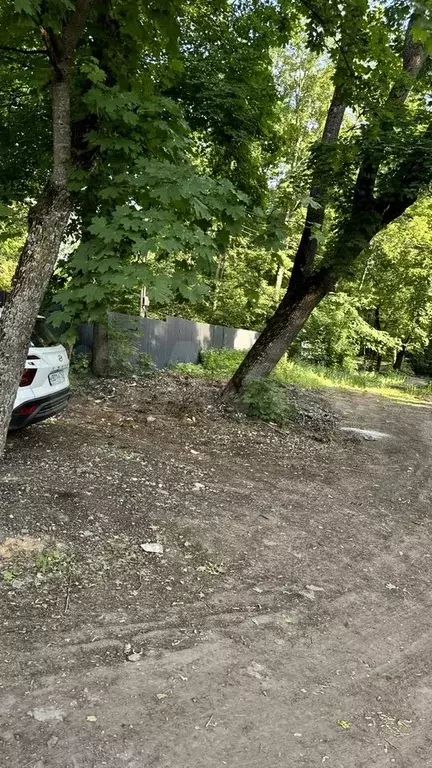 Участок 11,6 сот. (СНТ, ДНП) - Фото 0