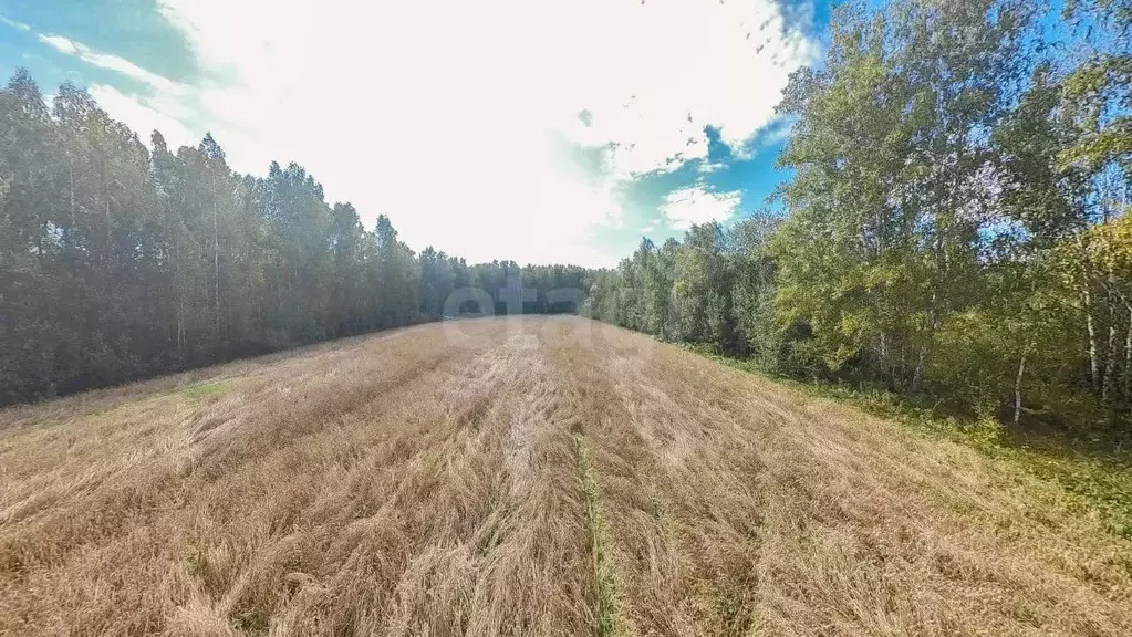 Участок в Тюменская область, Тюмень Радужная ул. (60.9 сот.) - Фото 0