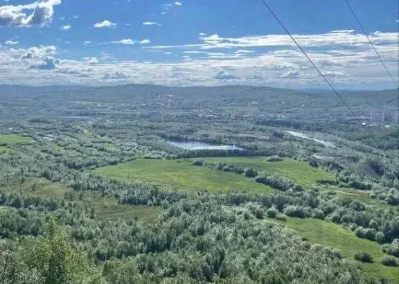Участок в Мурманская область, Кольский район, Молочный городское ... - Фото 2