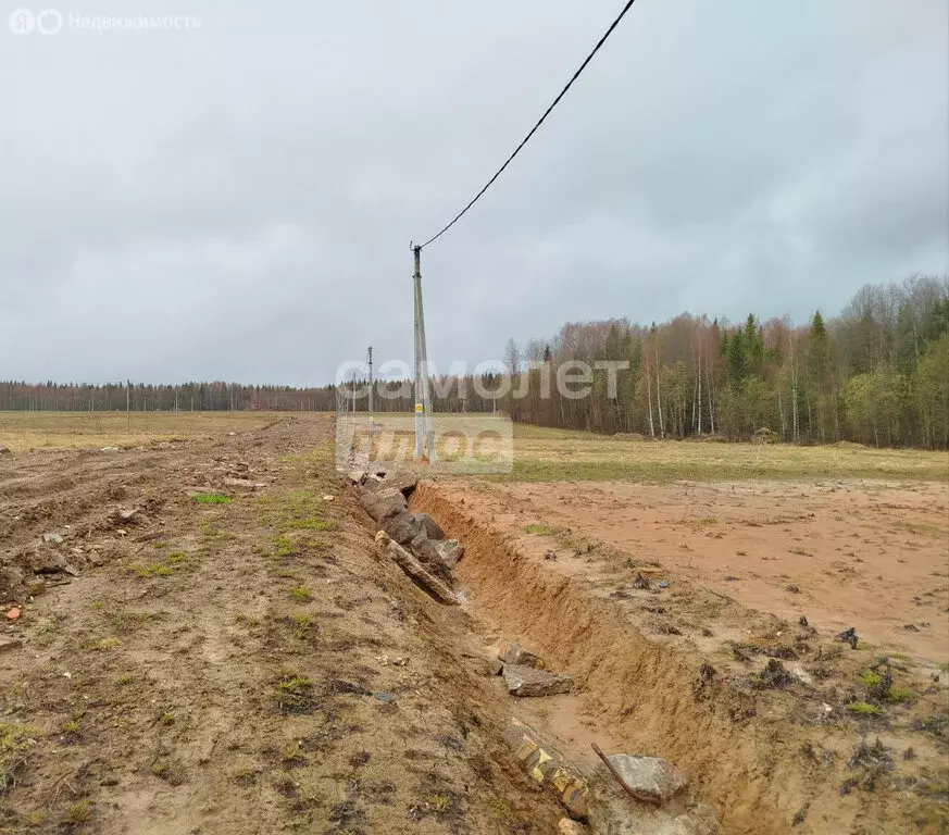 Участок в Республика Коми, муниципальный район Сыктывдинский, ... - Фото 0