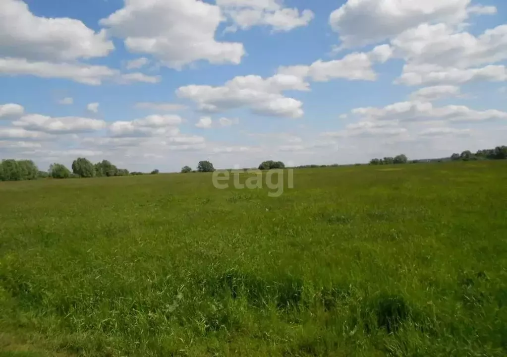 Участок, 20 сот., поселения (ижс) - Фото 1