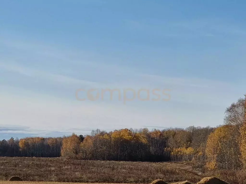 Участок в Тюменская область, Тюменский район, д. Большие Акияры  (8.8 ... - Фото 0