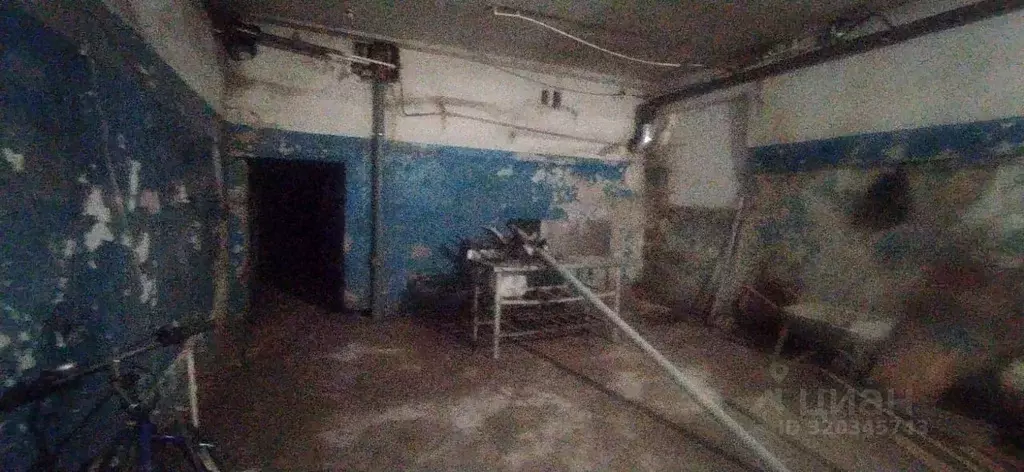 Склад в Хабаровский край, Хабаровск Амурский бул., 17 (229 м) - Фото 2