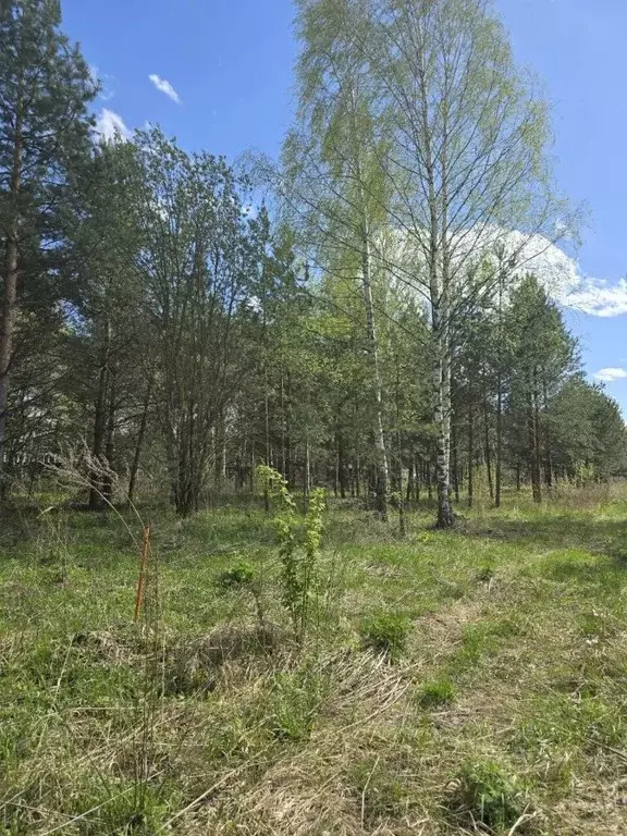 Участок в Владимирская область, Суздальский район, Боголюбовское ... - Фото 0