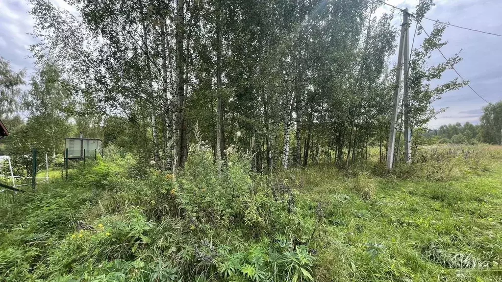 Участок в Московская область, Клин городской округ, д. Сидорково ул. ... - Фото 2