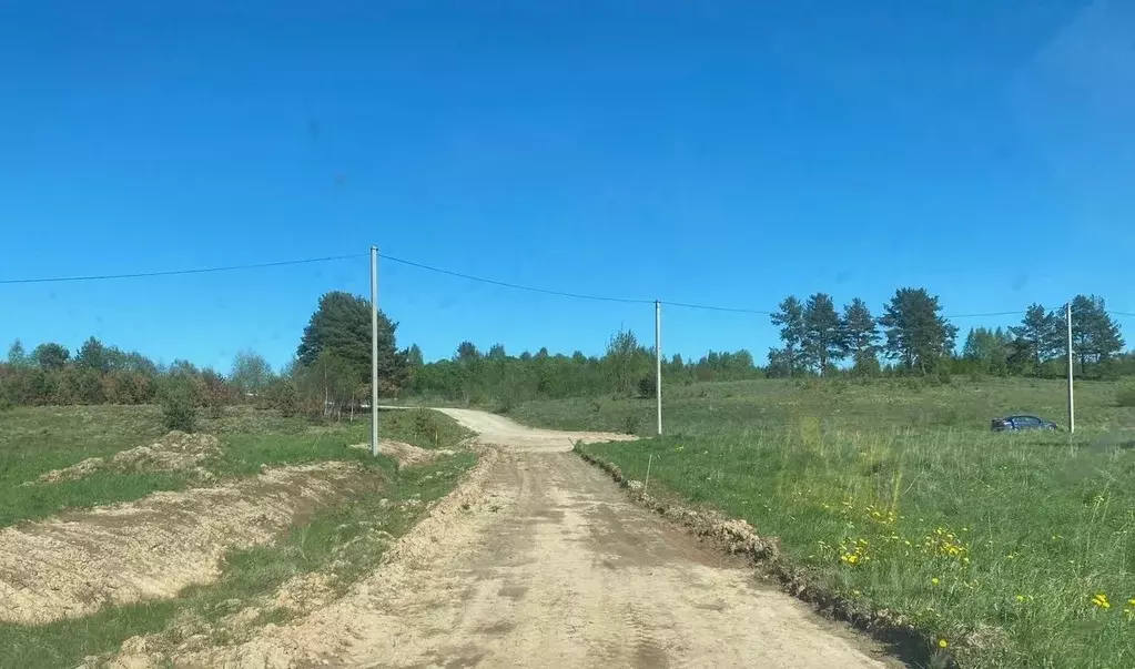 Участок в Псковская область, Печорский муниципальный округ, Лесицкое ... - Фото 0