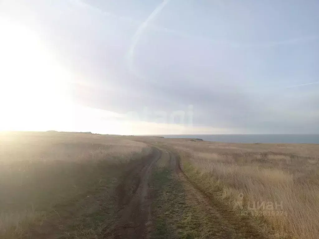 Участок в Крым, Ленинский район, Семисотское с/пос, с. Каменское ул. ... - Фото 1