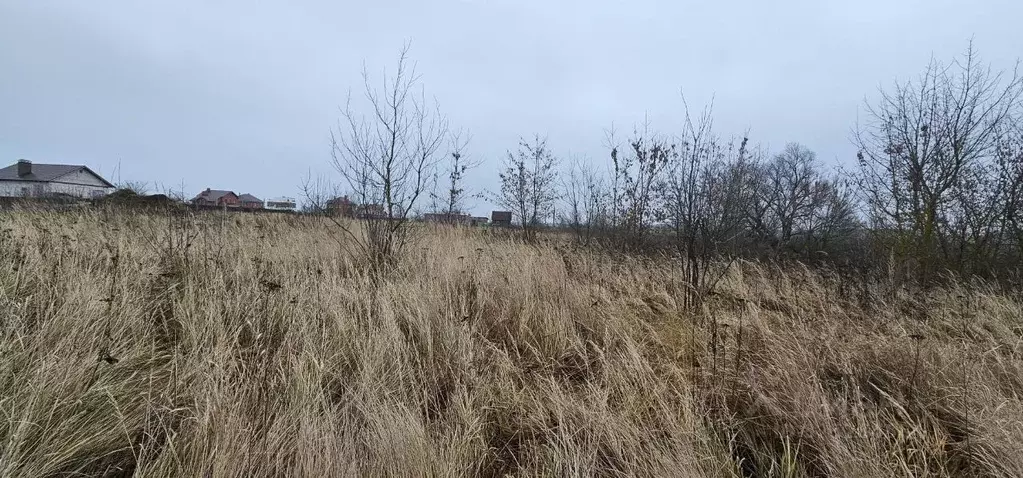 Участок в Московская область, Луховицы муниципальный округ, пос. ... - Фото 1