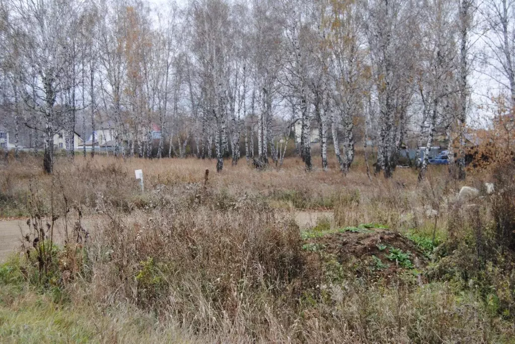 Участок в Челябинская область, Сосновский муниципальный округ, пос. ... - Фото 1