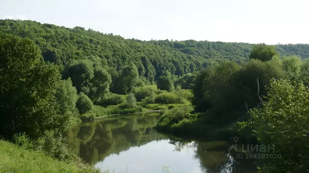 Участок в Тульская область, Одоевский район, Южно-Одоевское ... - Фото 1