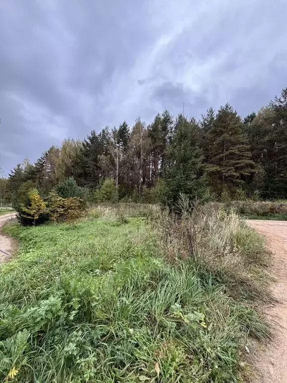 Участок в Калужская область, Перемышльский район, Корекозево с/пос, д. ... - Фото 1