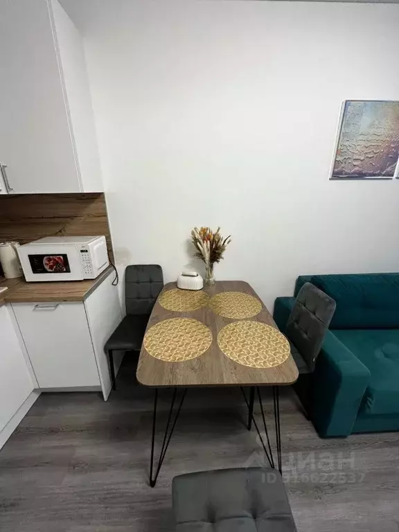 Студия Санкт-Петербург просп. Буденного, 13 (25.0 м) - Фото 1
