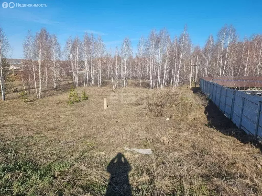 Участок в Сосновский район, Кременкульское сельское поселение, деревня ... - Фото 1