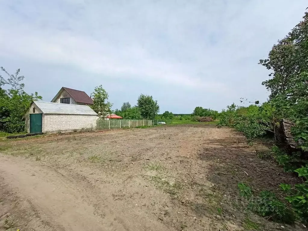 Участок в Воронежская область, Новоусманский район, Хреновское с/пос, ... - Фото 1