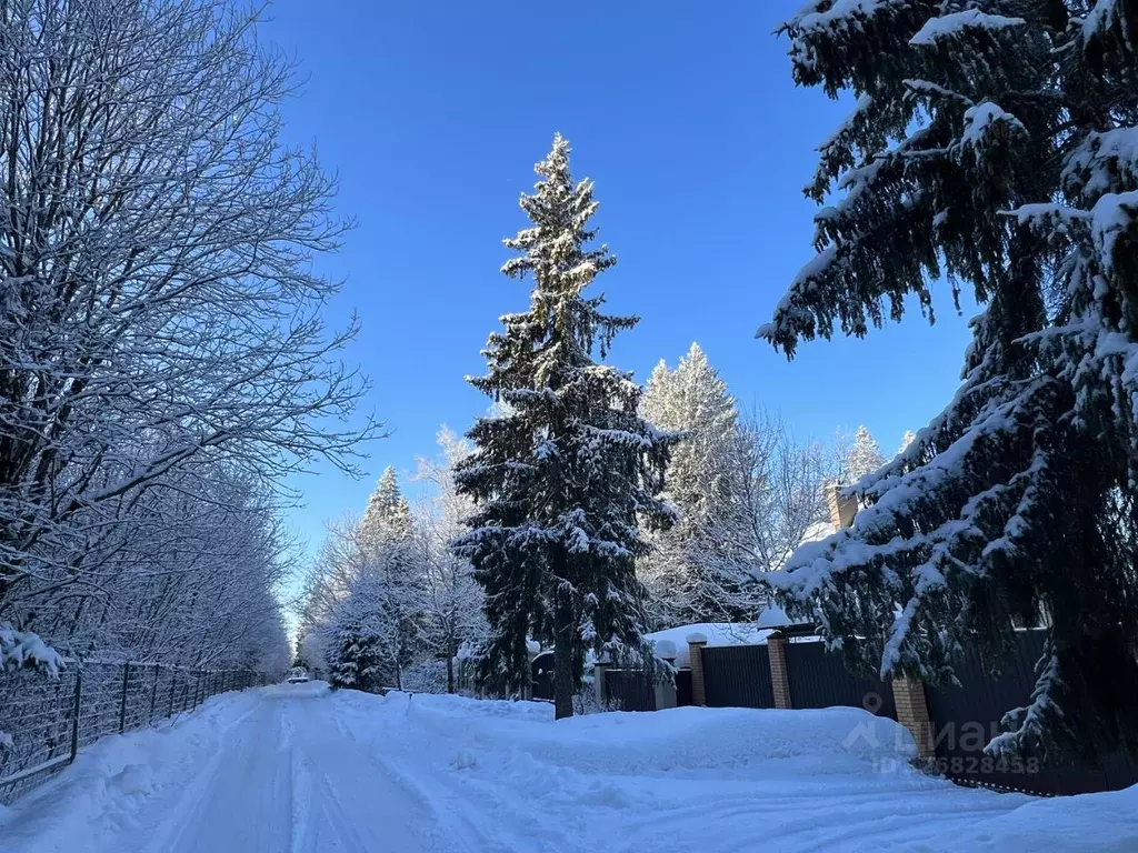 Участок в Московская область, Истра муниципальный округ, пос. Северный ... - Фото 1